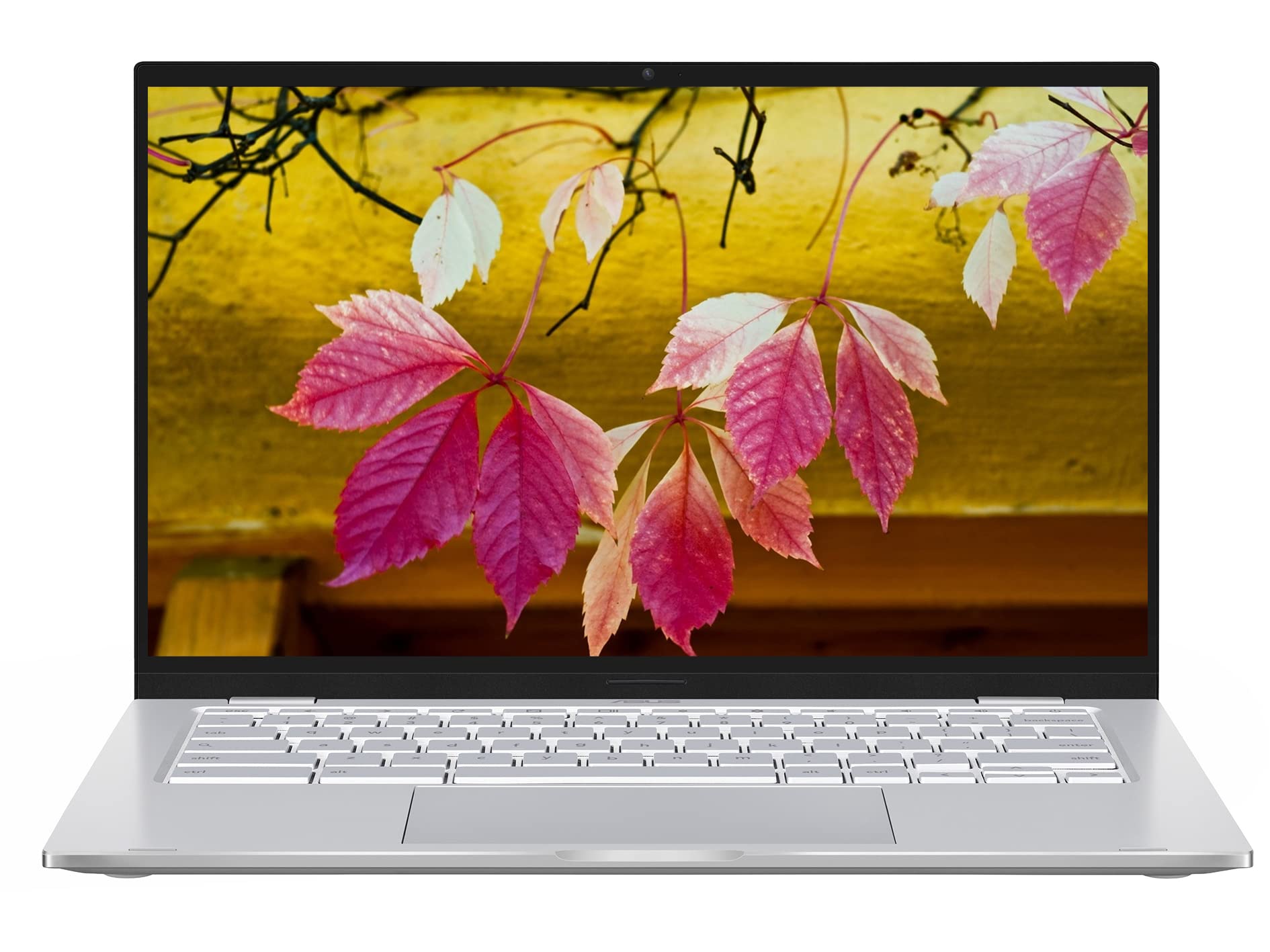 Amazon.com: ASUS 2022 14